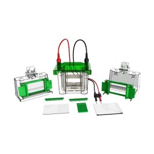 мини-вертикальная электрофорезная ячейка