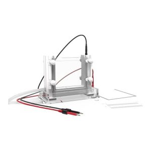 вертикальная электрофорезная ячейка